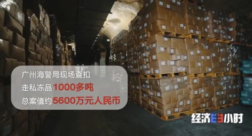海關(guān)重拳出擊 查獲走私凍品4.9萬噸，部分竟源自非洲豬瘟高發(fā)疫區(qū)，國內(nèi)貿(mào)易代理敲響安全警鐘